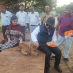 जौनपुर जिलाधिकारी ने श्रीकृष्ण जन्माष्टमी पर गौशाला का किया निरीक्षण, की गो-पूजन व व्यवस्था की समीक्षा